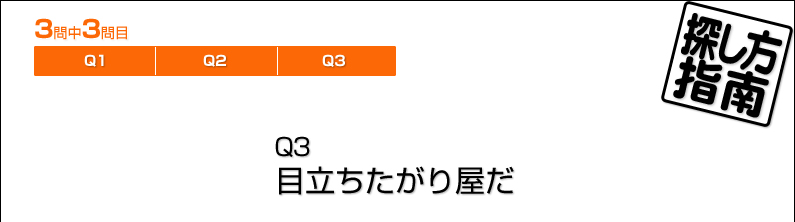 探し方指南／Q3　目立ちたがり屋だ